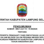 PENGUMUMAN PESERTA PENGGANTI YANG DINYATAKAN LULUS SELEKSI CPNS TA 2024