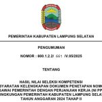 PENGUMUMAN HASIL NILAI SELEKSI KOMPETENSI DAN PERSYARATAN KELENGKAPAN DOKUMEN PENETAPAN NIP PPPK TAHAP II